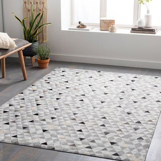 Surya Medora MOD-1025 Area Rug Room Scene Feature