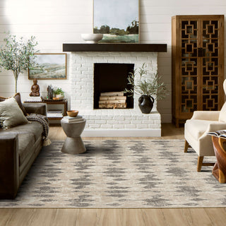 Karastan Vanguard by Drew and Jonathan Home Modulation Dim Grey Area Rug Lifestyle Image Feature