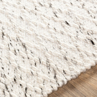Surya Modena MOE-1002 Area Rug Detail