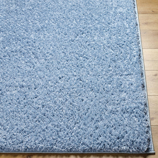 Livabliss Moda shag MOG-2300 Area Rug