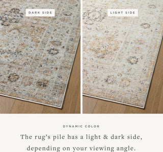 Loloi II Monroe MON-02 Beige/Multi Area Rug