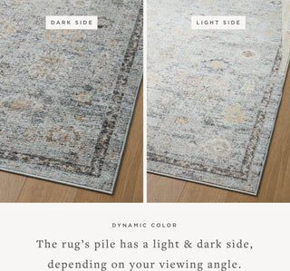 Loloi II Monroe MON-04 Sky/Gold Area Rug