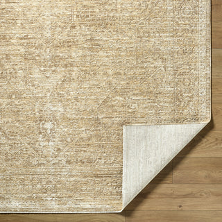 Livabliss Masterpiece MPC-2335 Sandstone Area Rug Pile