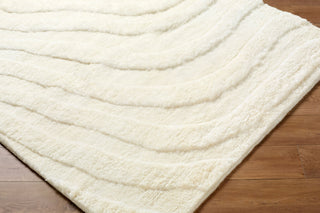 Surya Manpura MPR-2304 Ivory Area Rug Corner Shot