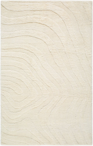 Surya Manpura MPR-2304 Ivory Area Rug main image