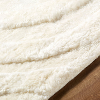 Surya Manpura MPR-2304 Ivory Area Rug Detail