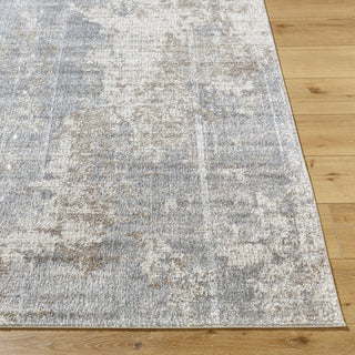 Livabliss Merengue MRG-2301 Charcoal Area Rug