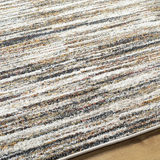 Surya Merengue MRG-2304 Area Rug Detail