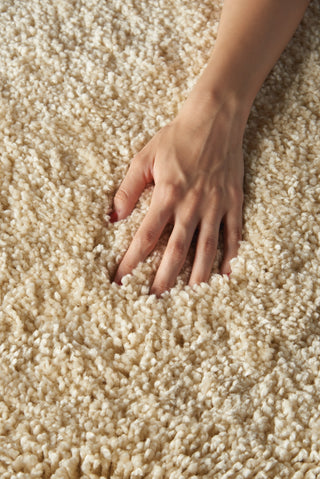 Nourison Malibu Shag MSG01 Cream Area Rug Room Image Feature