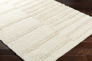 Livabliss Maryland Shag MSG-2310 Area Rug