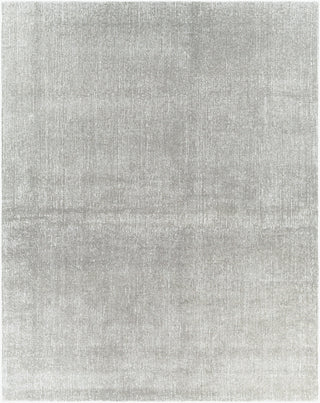 Surya Messina MSN-2302 Area Rug Main