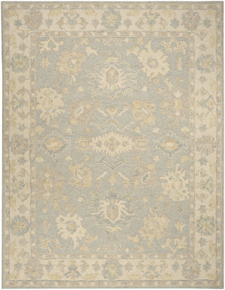 Nourison Maison MSO03 Blue Ivory Area Rug main image