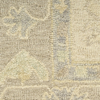 Nourison Maison MSO04 Ivory Taupe Area Rug Swatch Image
