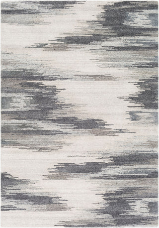Surya Montclair MTC-2308 Area Rug main image