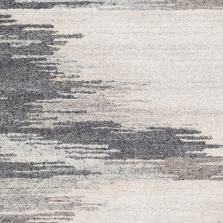 Surya Montclair MTC-2308 Area Rug Swatch