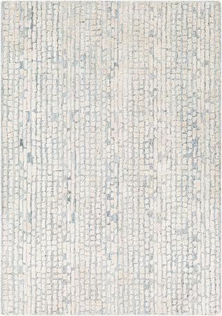 Surya Montclair MTC-2309 Area Rug main image