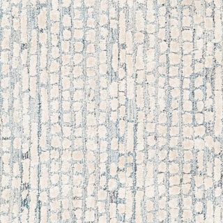 Surya Montclair MTC-2309 Area Rug Swatch