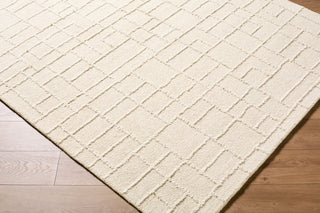 Livabliss Matterhorn MTH-2303 Area Rug Corner Shot