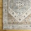 Surya Montana MTN-2311 Area Rug 