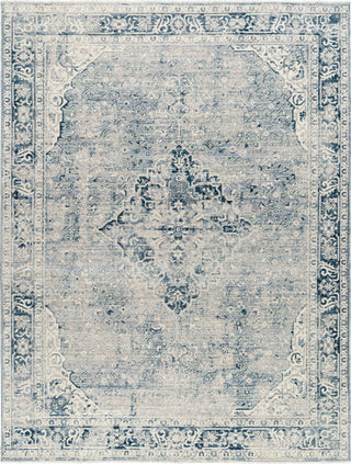 Livabliss Montreal MTR-2301 Area Rug