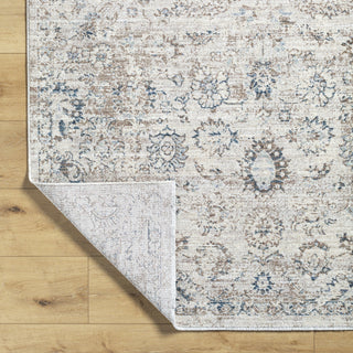 Livabliss Montreal MTR-2304 Area Rug