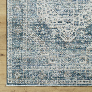 Livabliss Montreal MTR-2307 Area Rug