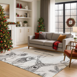 Dalyn Merry and Bright MY10 Flannel Machine Washable Area Rug Lifestyle Image Feature