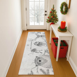 Dalyn Merry and Bright MY10 Flannel Machine Washable Area Rug Runner Lifestyle Image Feature