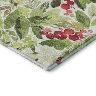 Dalyn Merry and Bright MY24 Aloe Machine Washable Area Rug Corner Image