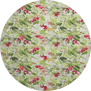 Dalyn Merry and Bright MY24 Aloe Machine Washable Area Rug Round Main Image