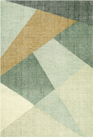 Surya Mcallister MZC-2301 Area Rug main image