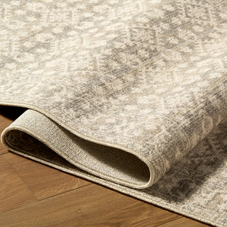 Nabela Noor Home X Livabliss Aram NBAR-2301 Area Rug 