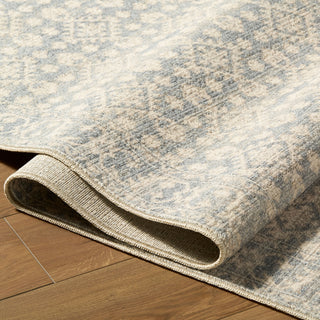 Nabela Noor Home X Livabliss Aram NBAR-2302 Area Rug 