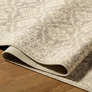 Nabela Noor Home X Livabliss Aram NBAR-2304 Area Rug 