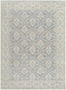 Nabela Noor Home X Livabliss Aram NBAR-2305 Area Rug Main