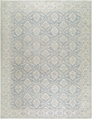 Nabela Noor Home X Livabliss Aram NBAR-2305 Area Rug Main