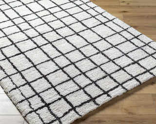 Livabliss Nicole NCO-2300 Area Rug