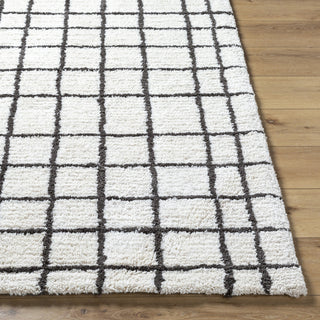 Livabliss Nicole NCO-2300 Area Rug