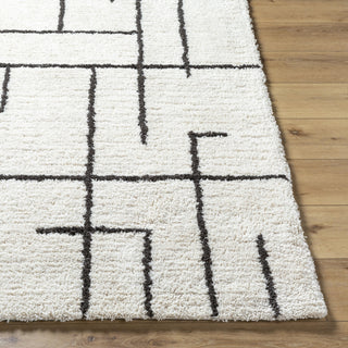 Livabliss Nicole NCO-2301 Area Rug