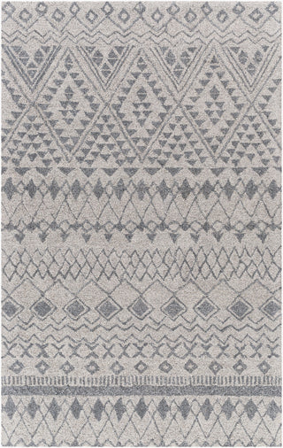 Surya Newcastle NCS-2318 Area Rug main image