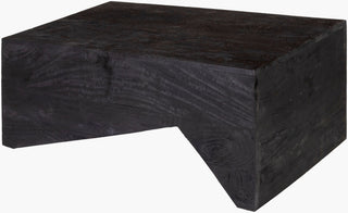 Surya Neemrana NEE-002 Black / Furniture main image