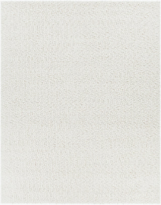 Surya Neravan NER-1003 Area Rug Main