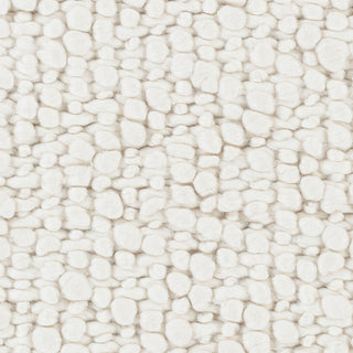 Surya Neravan NER-1003 Area Rug Swatch