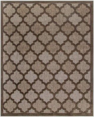 Nourison Easy Care NES01 Brown Area Rug Main Image