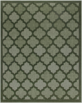 Nourison Easy Care NES01 Green Area Rug Main Image