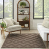 Nourison Easy Care NES01 Brown Area Rug 