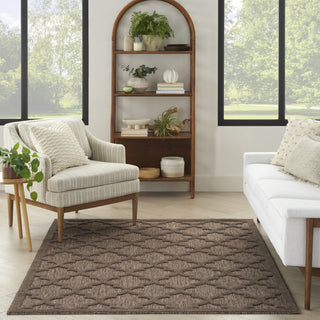 Nourison Easy Care NES01 Brown Area Rug 