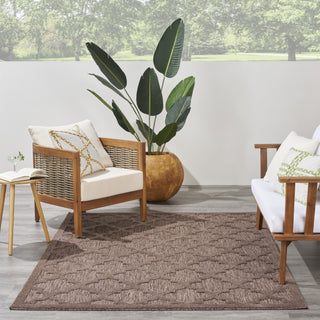 Nourison Easy Care NES01 Brown Area Rug 