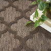 Nourison Easy Care NES01 Brown Area Rug 