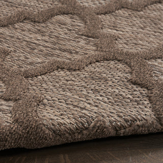 Nourison Easy Care NES01 Brown Area Rug 